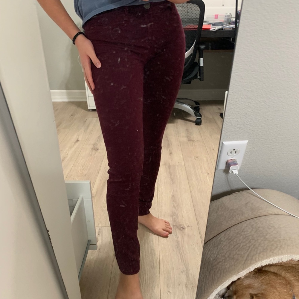 NWOT Burgundy Jeans